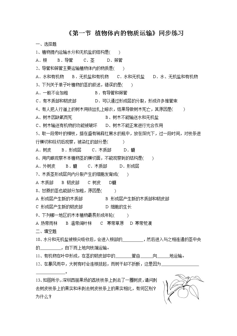 北京版生物七年级下册《第一节 植物体内的物质运输》同步练习（含答案）01
