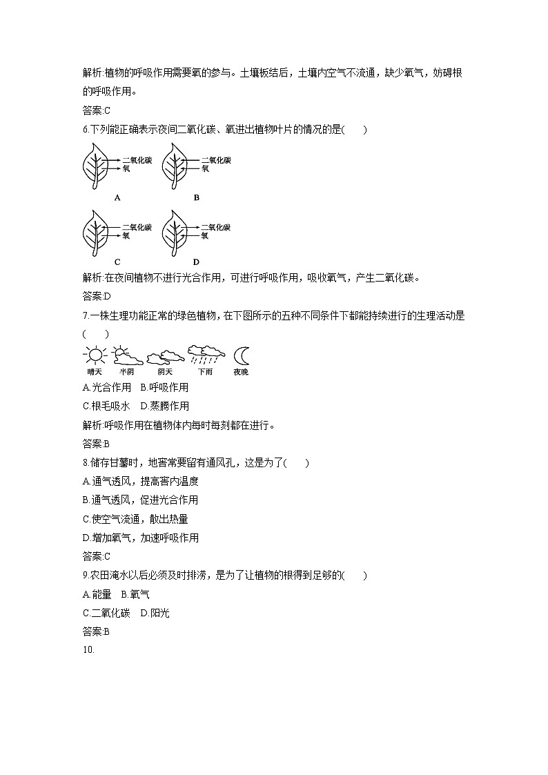 北京版生物七年级下册《第四节 呼吸与呼吸作用》同步练习（含答案）第2页