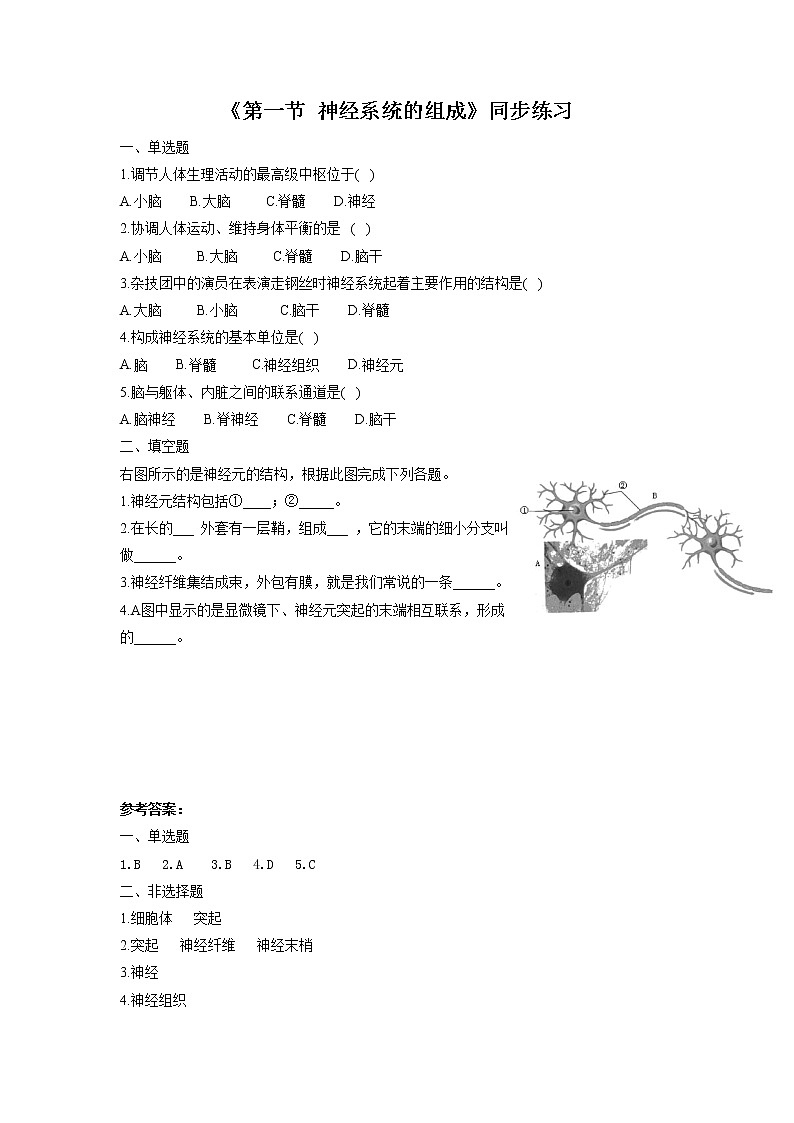 北京版生物七年级下册《第一节 神经系统的组成》同步练习（含答案）第1页