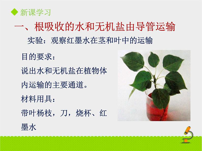 《植物体内的物质运输》课件PPT第一课时04