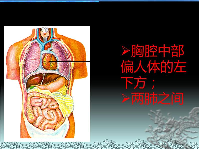 北京版生物七年级下册《人体内的物质运输》——血液循环 课件 PPT第2页