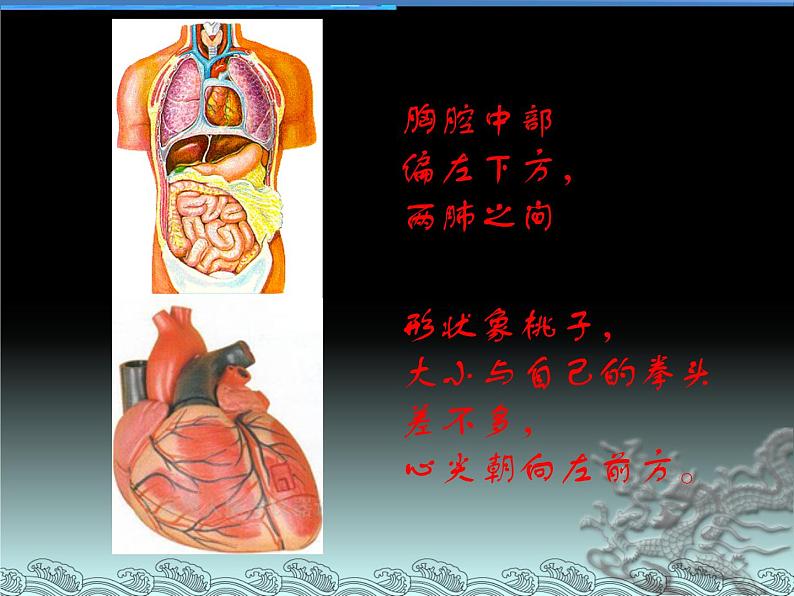 北京版生物七年级下册《人体内的物质运输》——血液循环 课件 PPT第4页