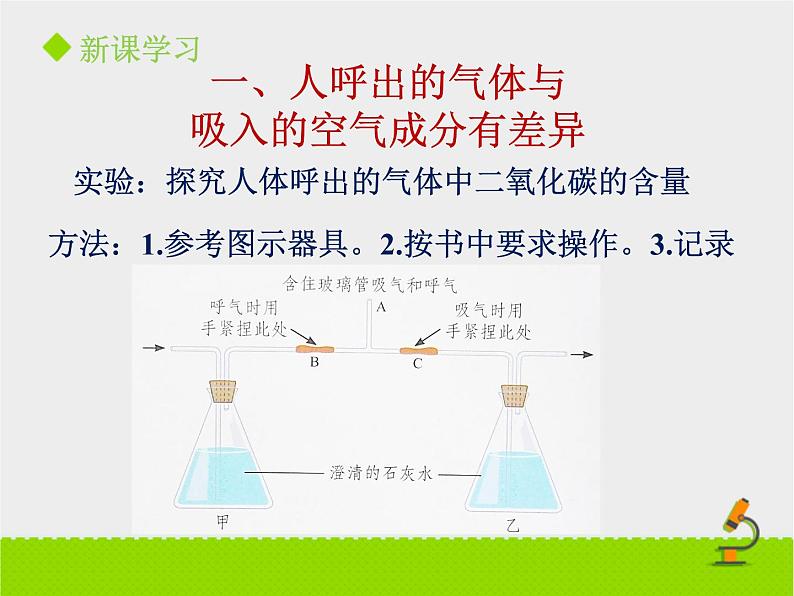 北京版生物七年级下册《人的呼吸》课件PPT第一课时第4页