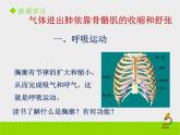 北京版生物七年级下册《人的呼吸》课件PPT第二课时