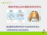 北京版生物七年级下册《人的呼吸》课件PPT第二课时