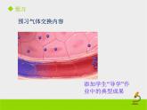 人的呼吸PPT课件免费下载