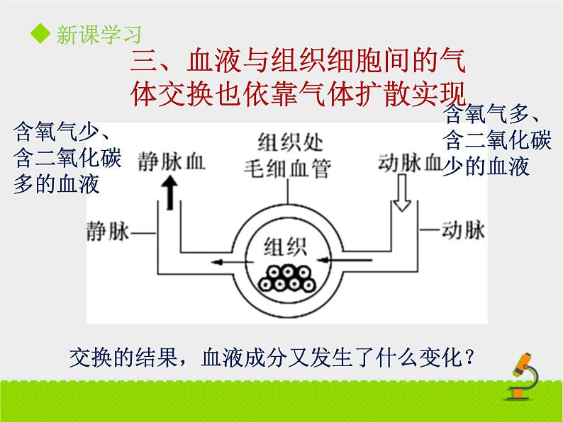 北京版生物七年级下册《人的呼吸》课件PPT第三课时第7页