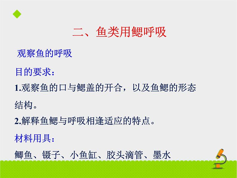 北京版生物七年级下册《其他生物的呼吸》课件PPT第一课时第5页