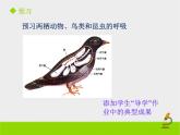 北京版生物七年级下册《其他生物的呼吸》课件PPT第二课时