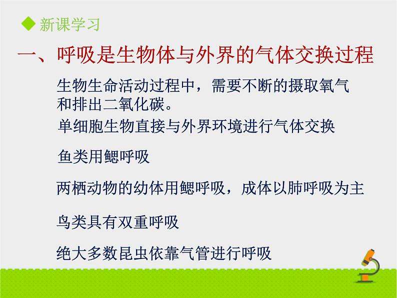 北京版生物七年级下册《呼吸与呼吸作用》课件PPT第一课时04