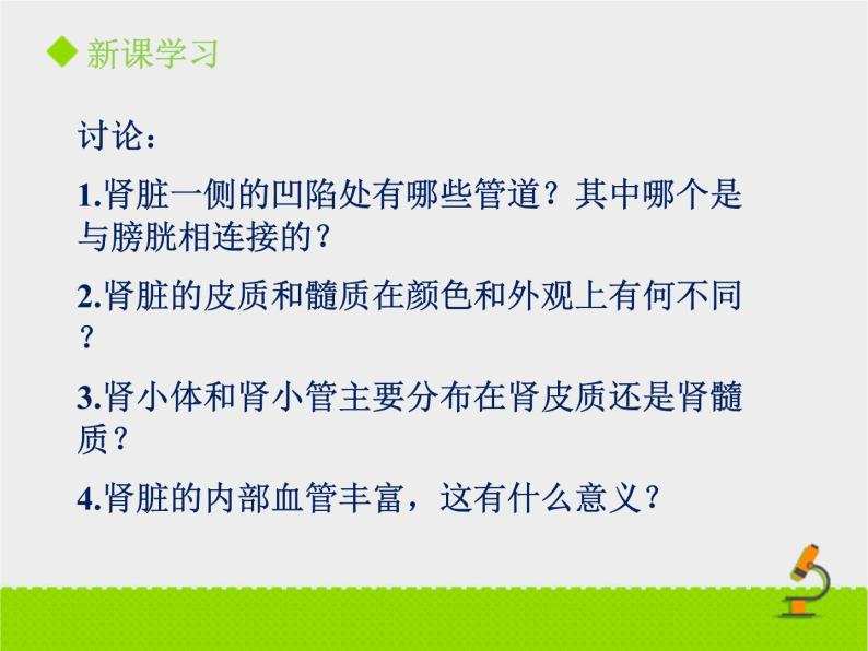 尿液的形成与排出PPT课件免费下载08