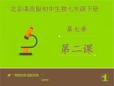 北京版生物七年级下册《尿液的形成和排出》课件PPT第二课时
