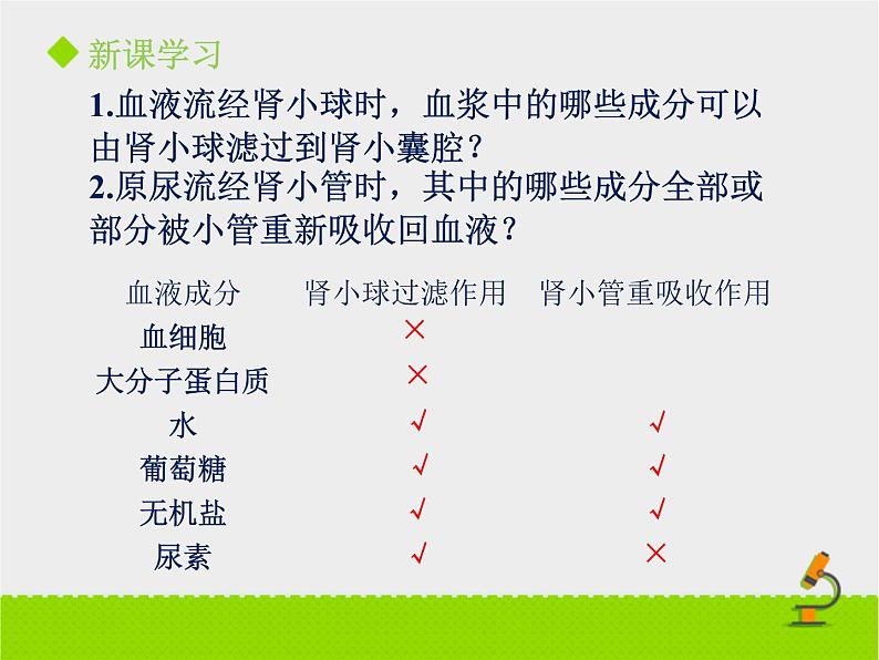 北京版生物七年级下册《尿液的形成和排出》课件PPT第二课时07