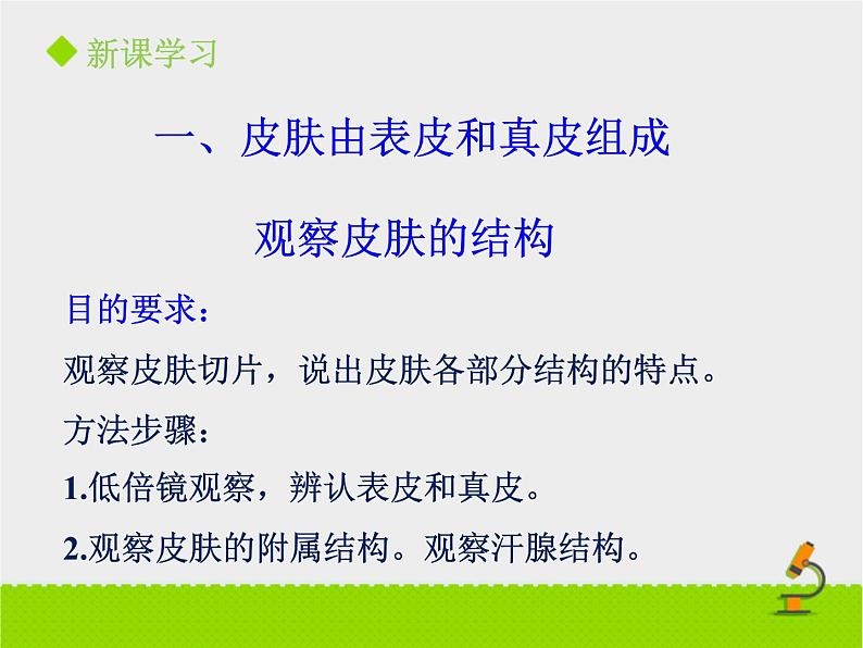 北京版生物七年级下册《汗液的排出》课件PPT第4页