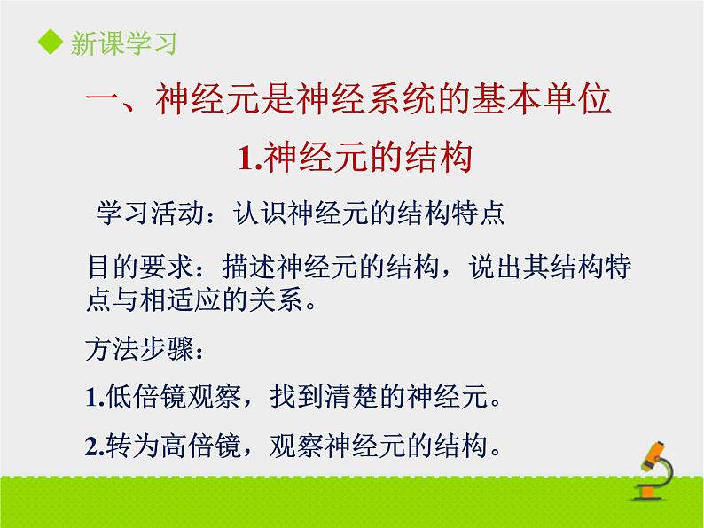 神经系统的组成PPT课件免费下载04