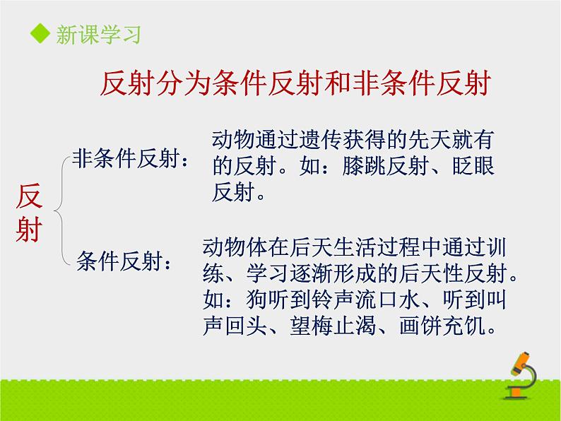 北京版生物七年级下册《神经调节的基本方式》课件PPT第二课时06