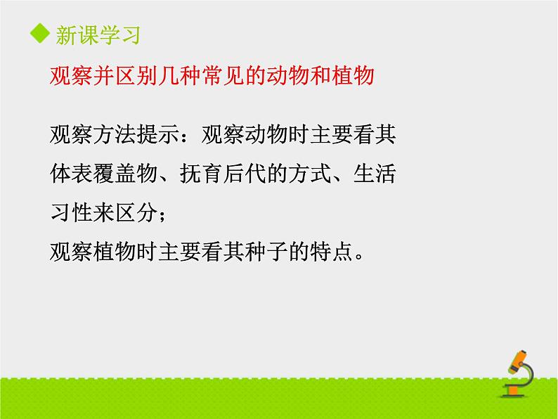 北京版生物八年级下册13.1《生物的分类》课件04