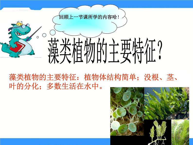 北京版生物八年级下册13.4《植物》课件02