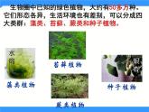 北京版生物八年级下册13.4《植物》课件