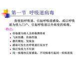 北京版生物八年级下册13.7《病毒》ppt课件