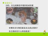 北京版生物八年级下册14.1《环境对生物的影响》课件第一课时
