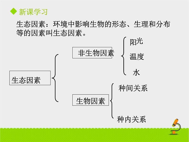 北京版生物八年级下册14.1《环境对生物的影响》课件第一课时第5页