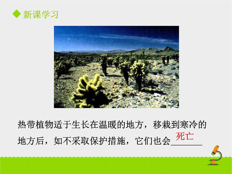 北京版生物八年级下册14.1《环境对生物的影响》课件第一课时第7页