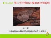 北京版生物八年级下册14.2《生物对环境的适应和影响》课件第一课时