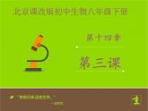 北京版生物八年级下册14.3《生态系统》课件第一课时