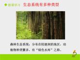 北京版生物八年级下册14.3《生态系统》课件第一课时