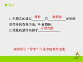 北京版生物八年级下册14.3《生态系统》课件第二课时