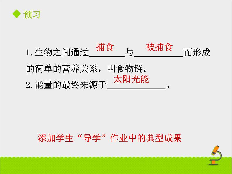 北京版生物八年级下册14.3《生态系统》课件第二课时02