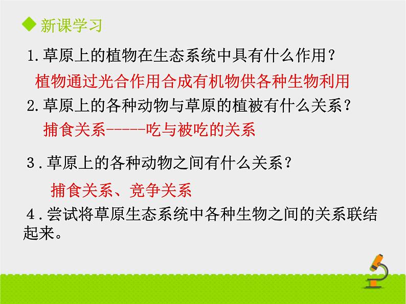 北京版生物八年级下册14.3《生态系统》课件第二课时05