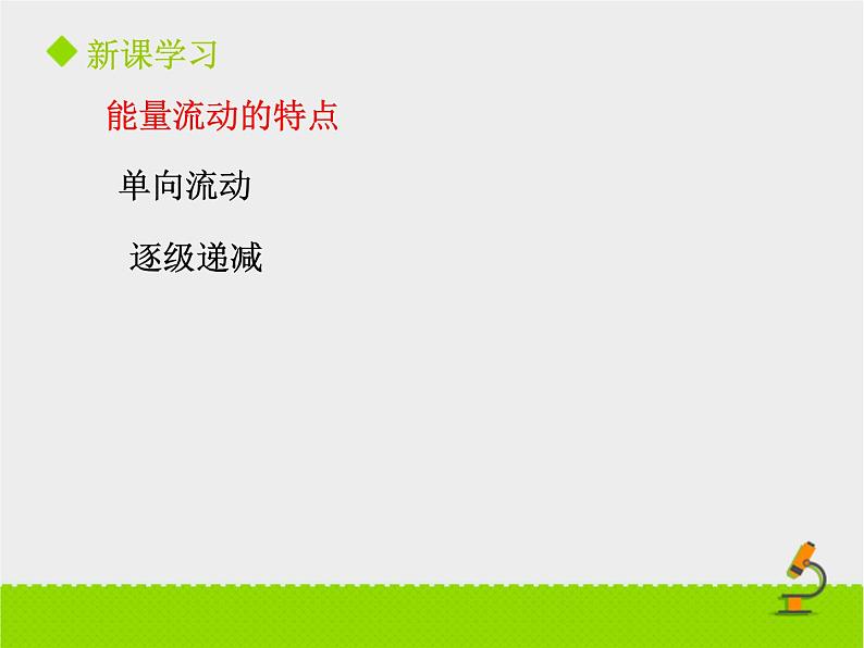 北京版生物八年级下册14.3《生态系统》课件第二课时08