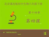 北京版生物八年级下册14.4《人与生物圈》课件第一课时
