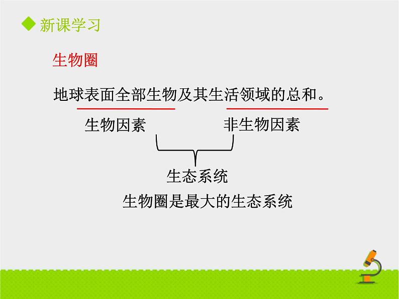 北京版生物八年级下册14.4《人与生物圈》课件第一课时05