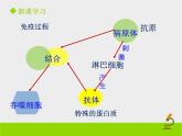 北京版生物八年级下册15.2《免疫》课件