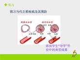 北京版生物八年级下册15.3《当代主要疾病及其预防》课件