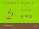 北京版生物八年级下册15.4《安全用药和急救》课件第一课时