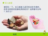 北京版生物八年级下册15.4《安全用药和急救》课件第一课时