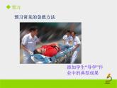 北京版生物八年级下册15.4《安全用药和急救》课件第二课时