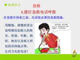 北京版生物八年级下册15.4《安全用药和急救》课件第二课时