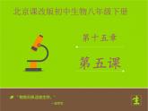 北京版生物八年级下册15.5《健康的生活方式》课件
