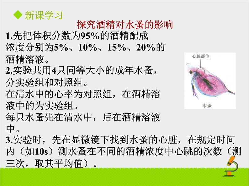 北京版生物八年级下册15.5《健康的生活方式》课件06