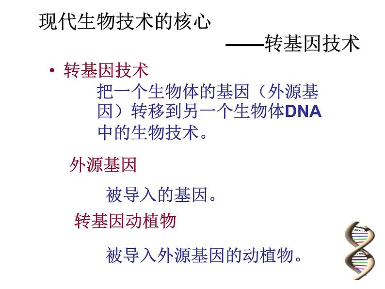 北京版生物八年级下册16.2《现代生物技术的发展》课件06