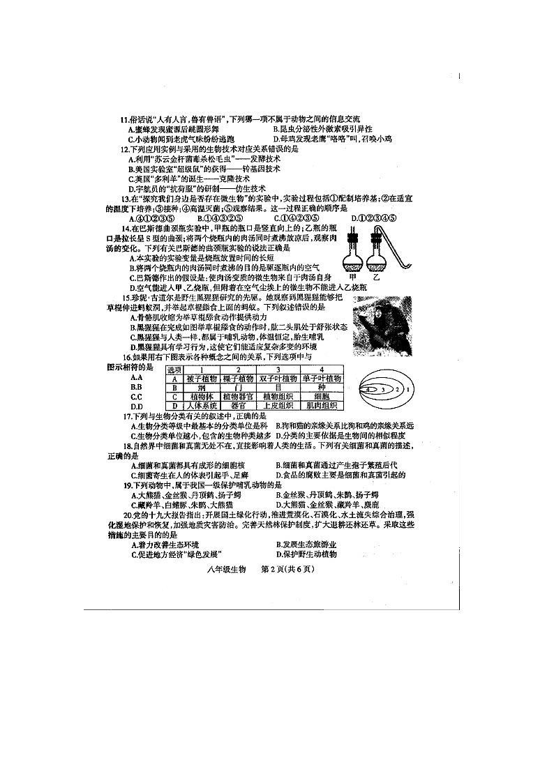 焦作市2020-2021学年八年级上学期期末考试生物试题02