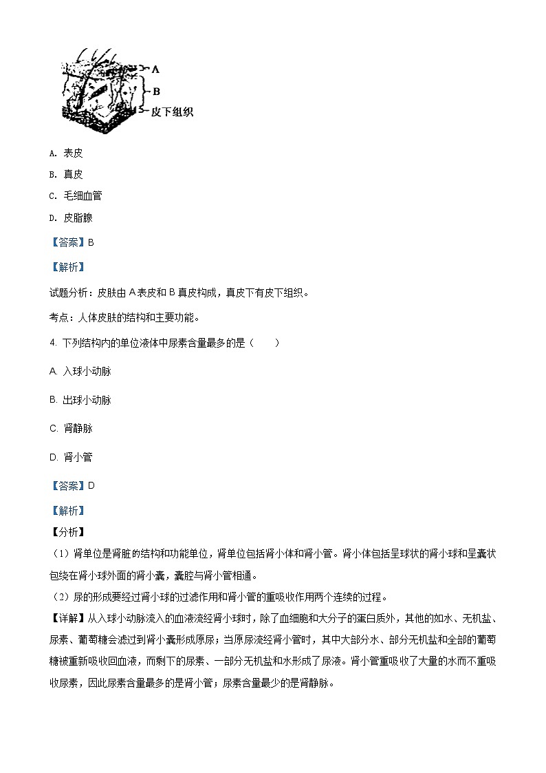 北师大版七年级下册生物： 第11章 人体代谢废物的排出单元练习题（解析版）03