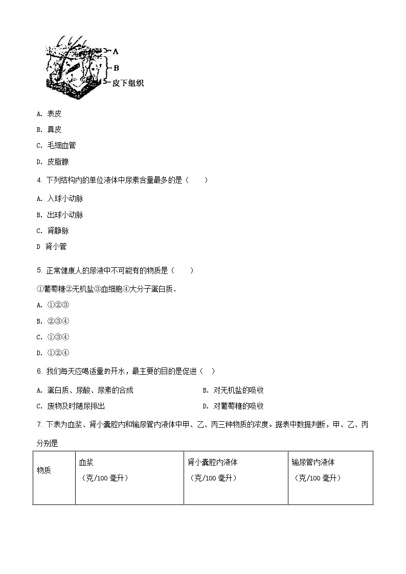 北师大版七年级下册生物： 第11章 人体代谢废物的排出单元练习题（解析版）02