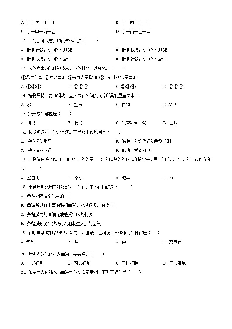 北师大版七年级下册生物第四单元 第10章人体的能量供应 单元巩固与训练（解析版）03
