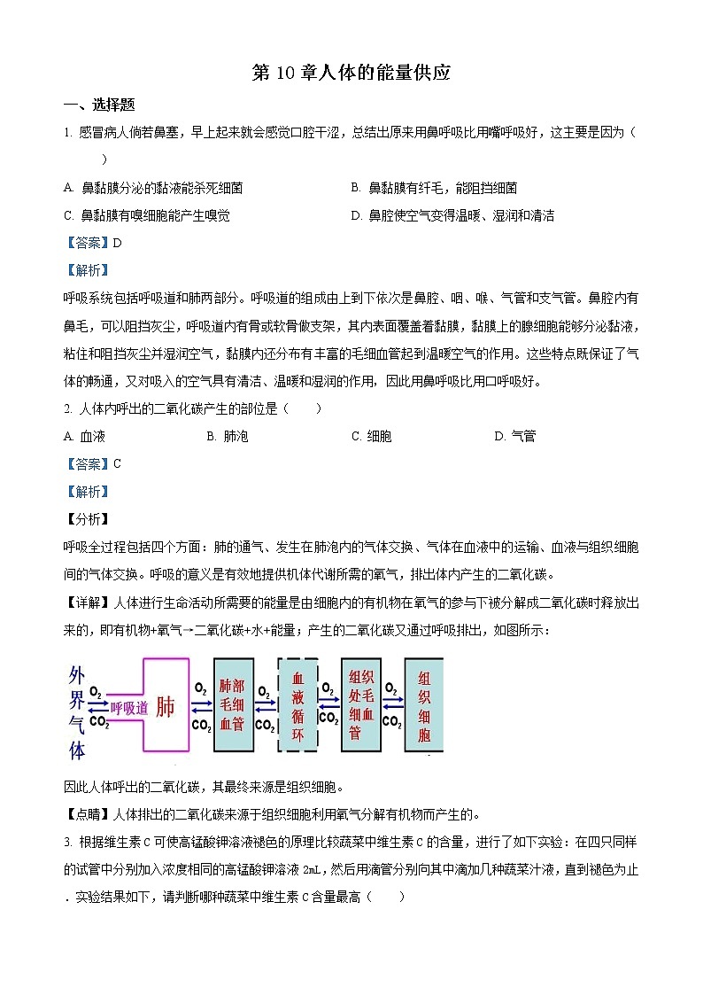 北师大版七年级下册生物第四单元 第10章人体的能量供应 单元巩固与训练（解析版）01